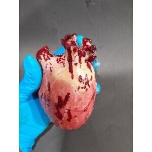 Realistic Bloody Heart, Halloween Prop